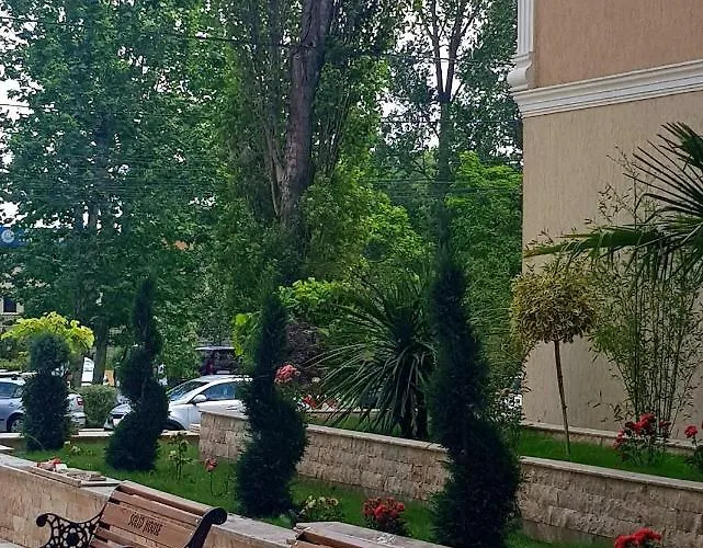 דירה Vibe Solid *