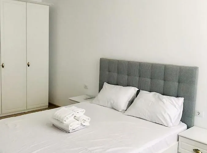 Apartment Vibe Solid