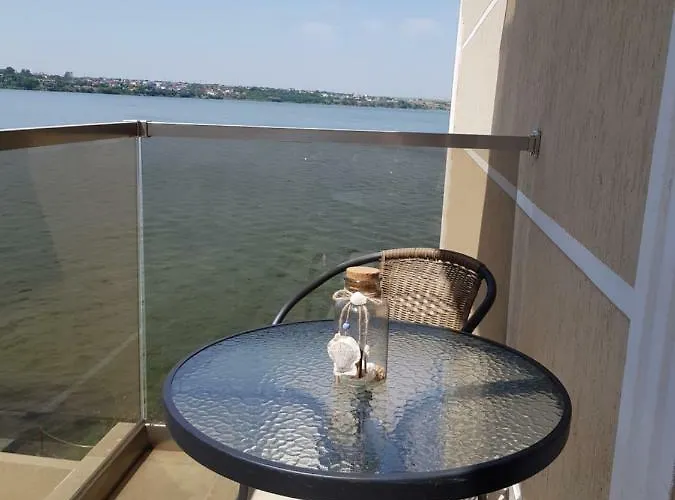 Apartment Vibe Solid *